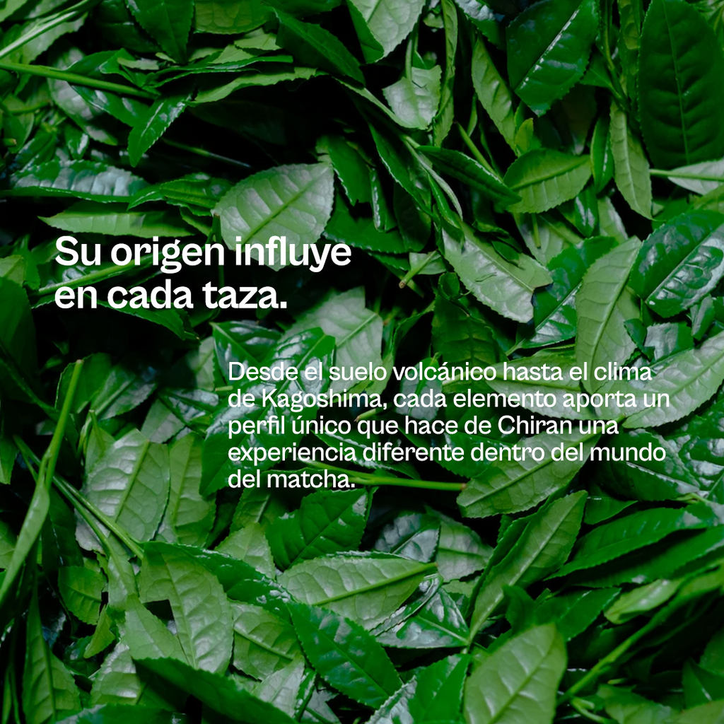 CHIRAN MATCHA