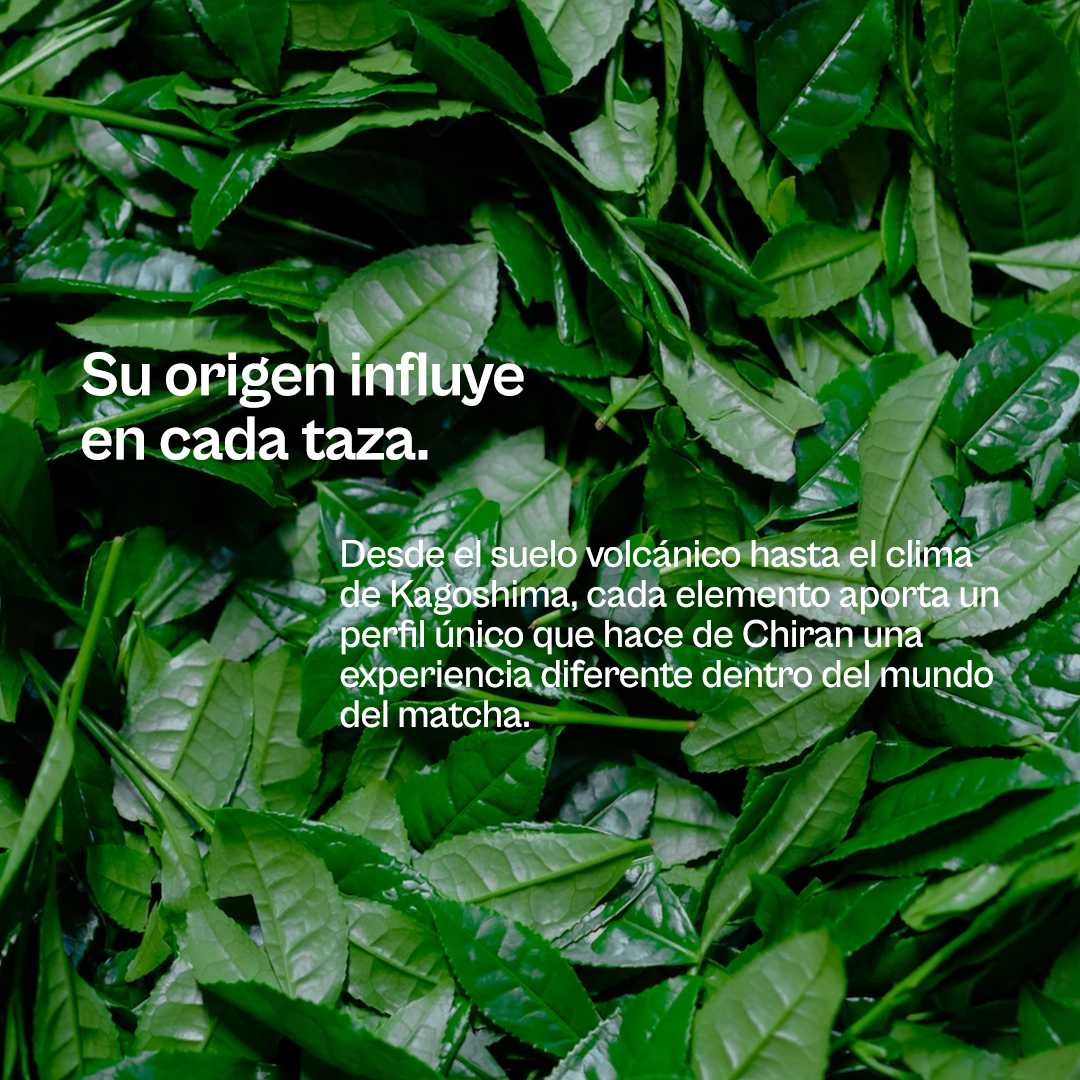 CHIRAN MATCHA