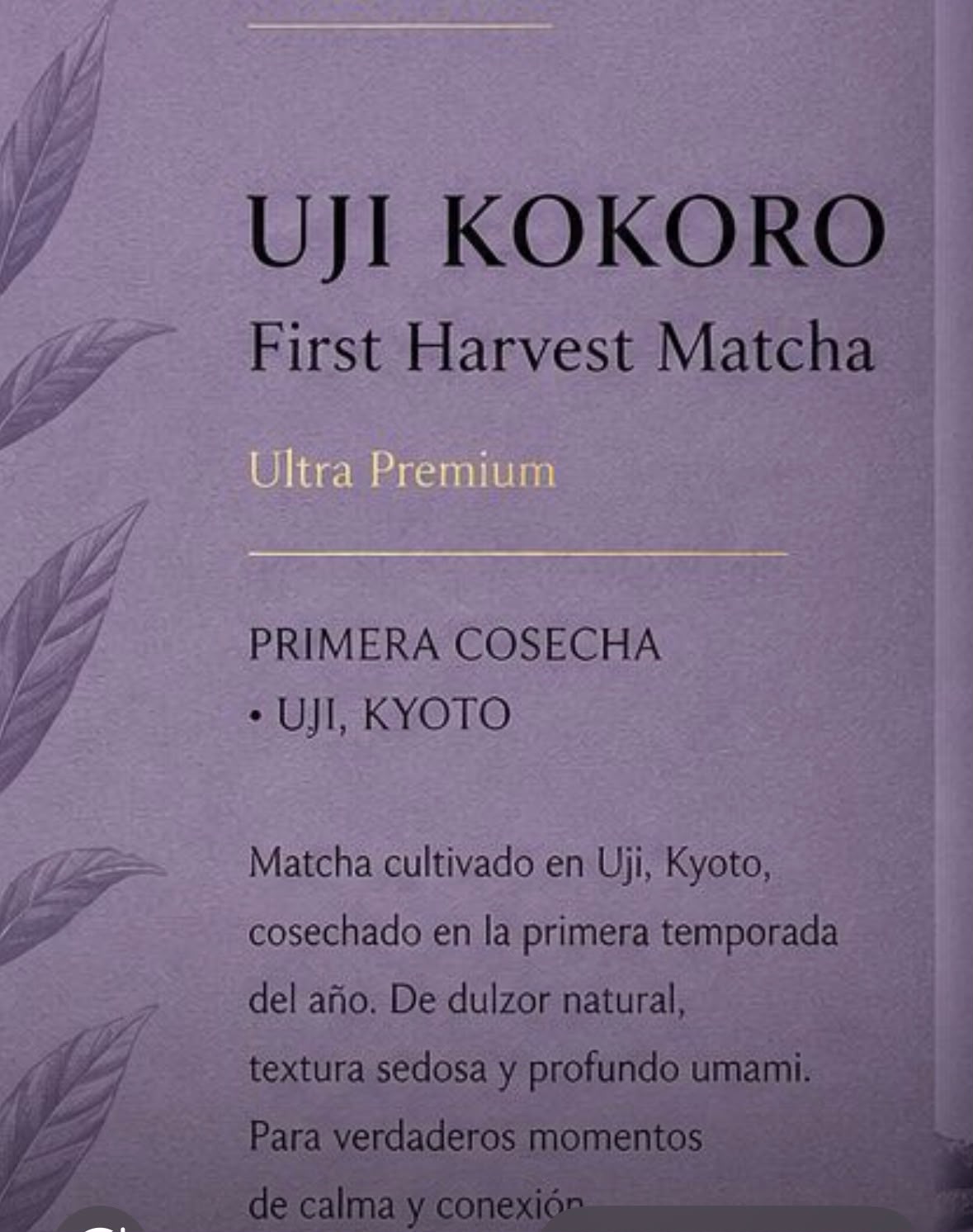 UJI KOKORO
